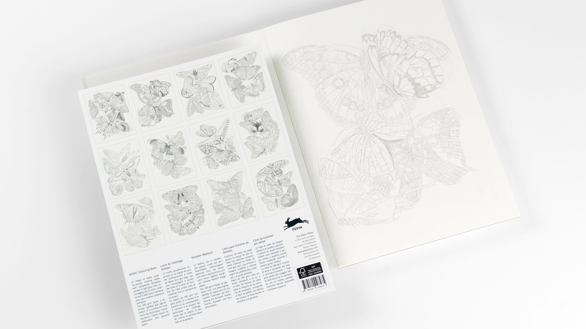 Butterflies Artists' Colouring Book