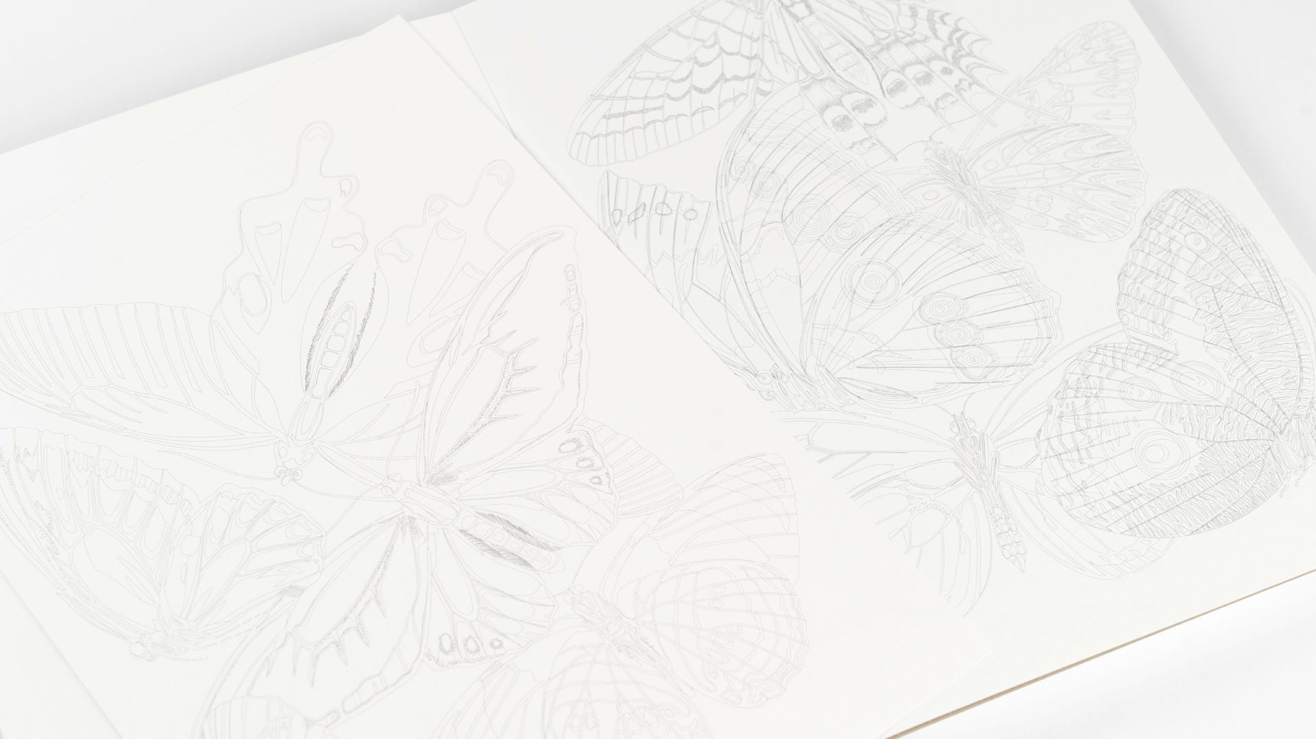 Butterflies Artists' Colouring Book