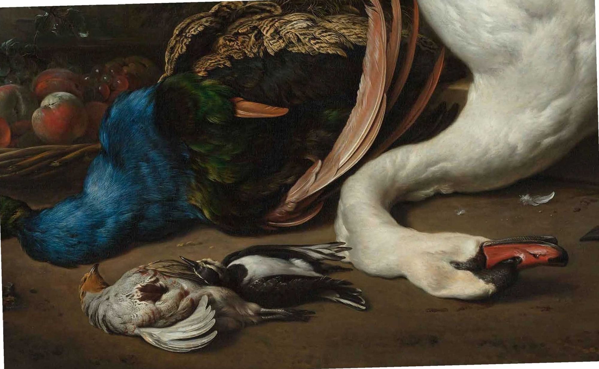 Birds: The Goldfinch, Birds, Art, and Us