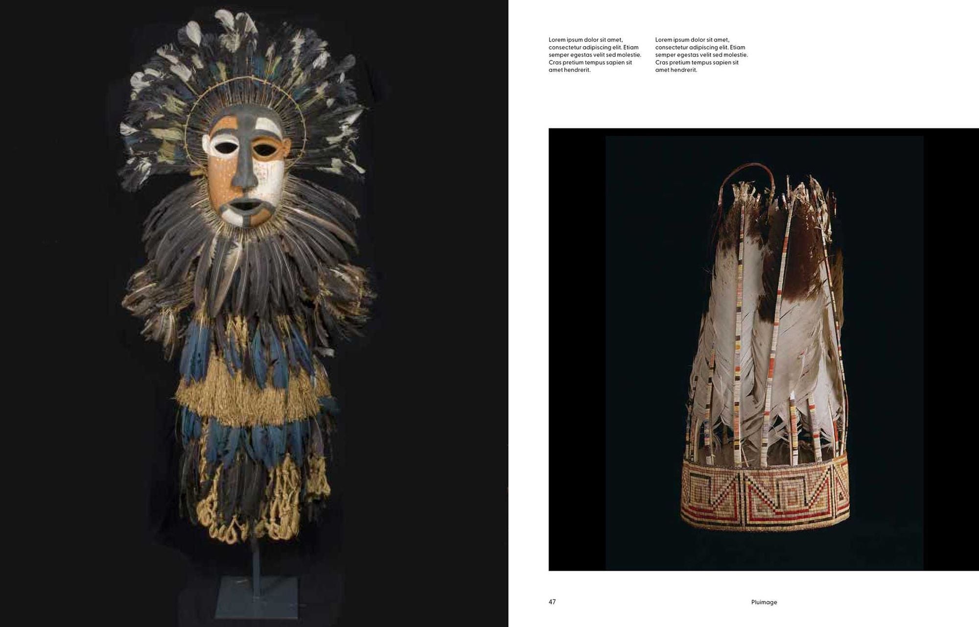 Birds: The Goldfinch, Birds, Art, and Us