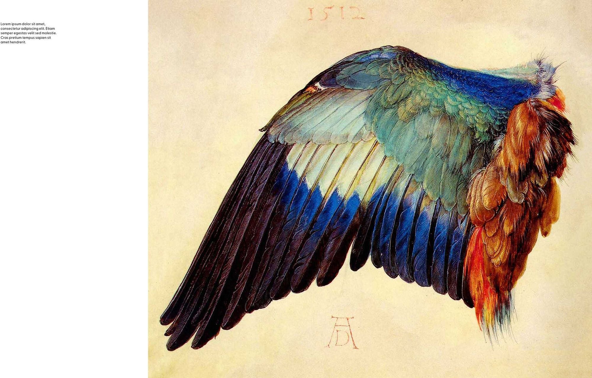 Birds: The Goldfinch, Birds, Art, and Us