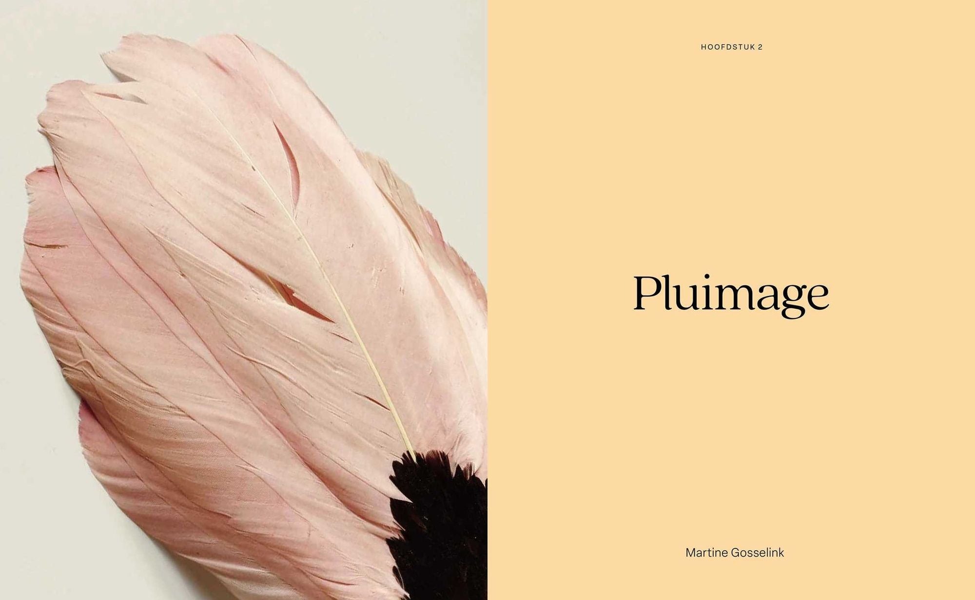 Birds: The Goldfinch, Birds, Art, and Us
