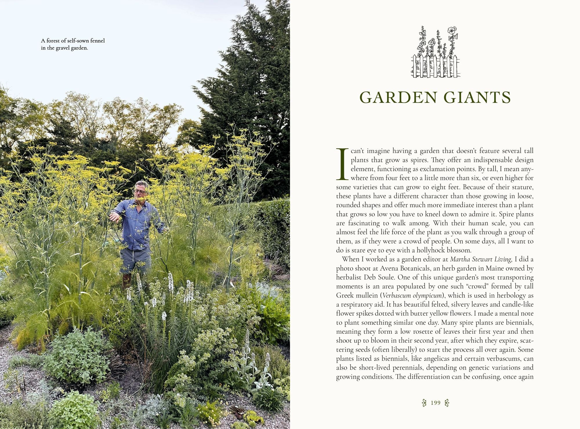The Gardener's Mindset: A Gardening Book: Connecting with Nature Through Plants