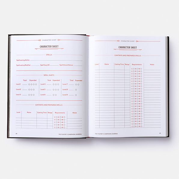 The Player's Campaign Journal (Dungeons & Dragons)