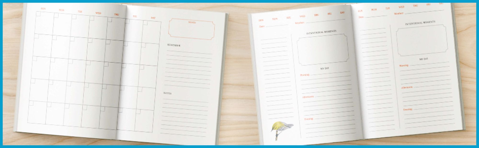 The Backyard Bird Planner: An Undated Desk Calendar and Journal