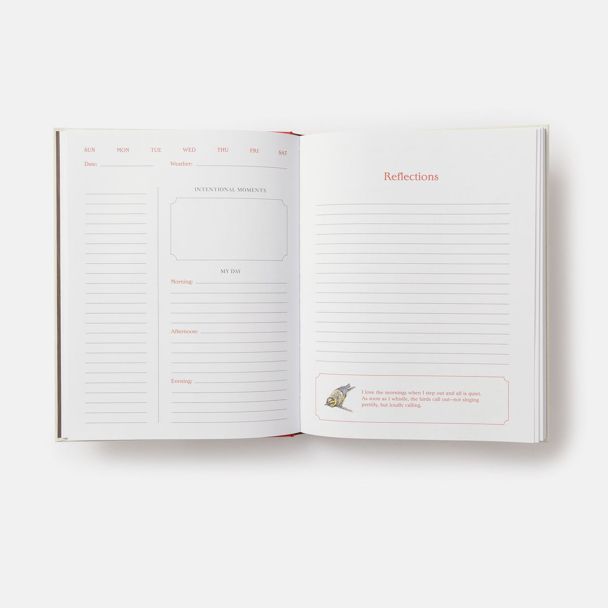 The Backyard Bird Planner: An Undated Desk Calendar and Journal