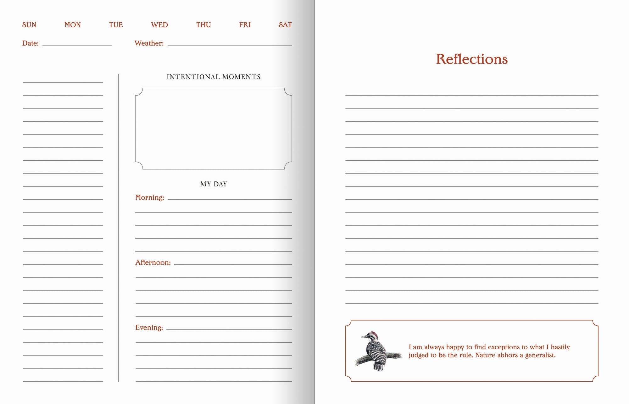 The Backyard Bird Planner: An Undated Desk Calendar and Journal