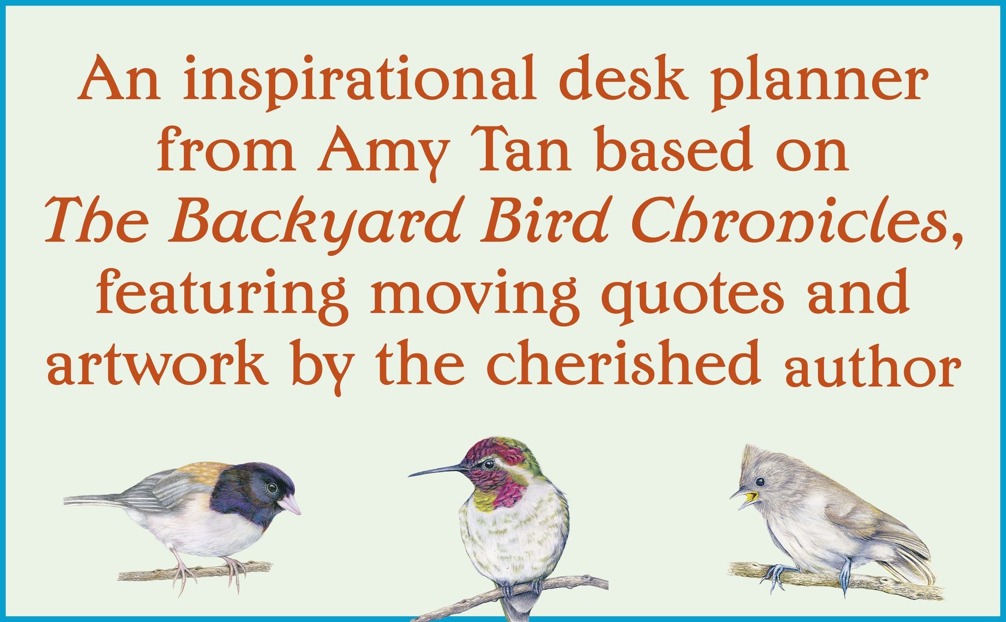 The Backyard Bird Planner: An Undated Desk Calendar and Journal