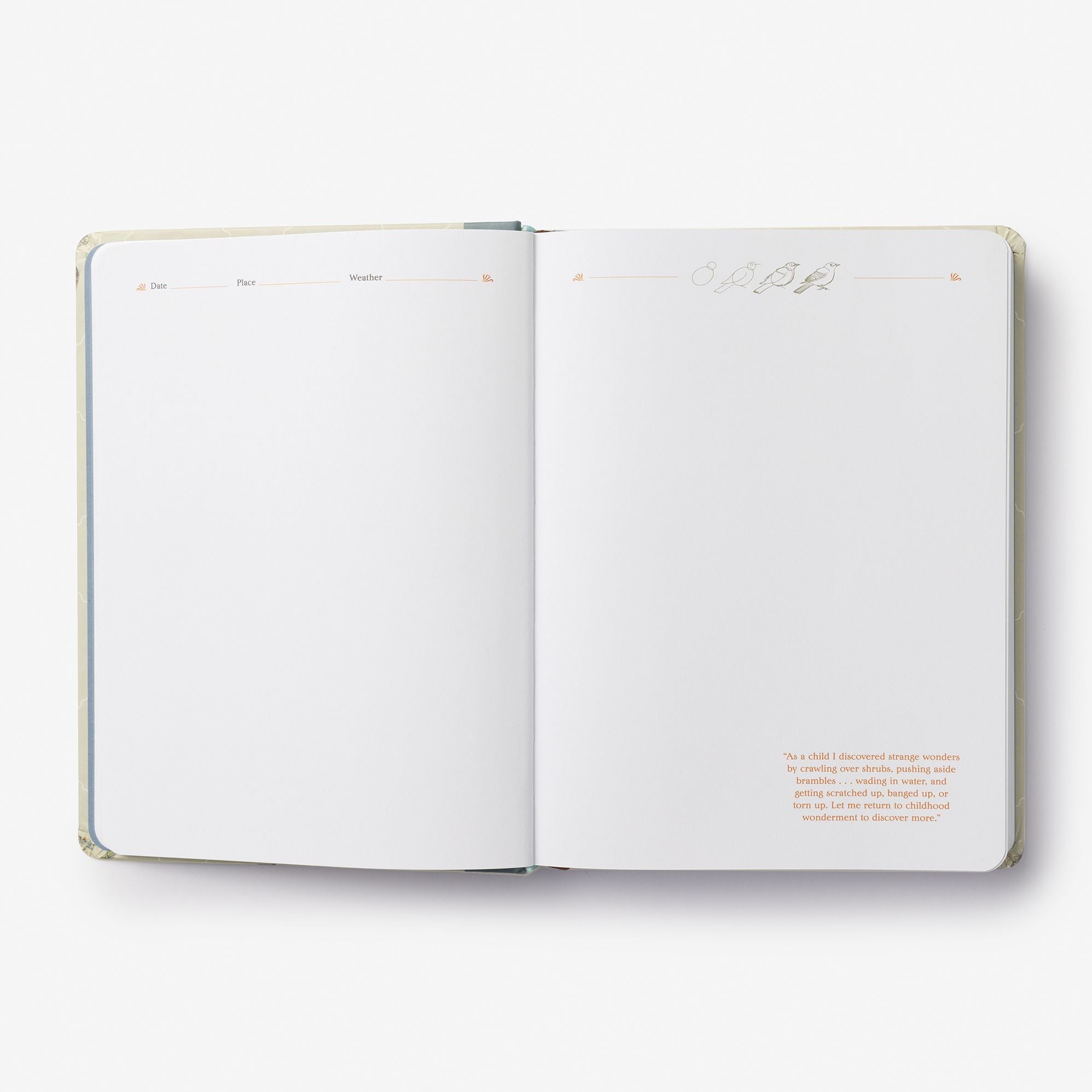 The Backyard Bird Journal: Pages for Writing, Sketching, and Living Deeply in Nature