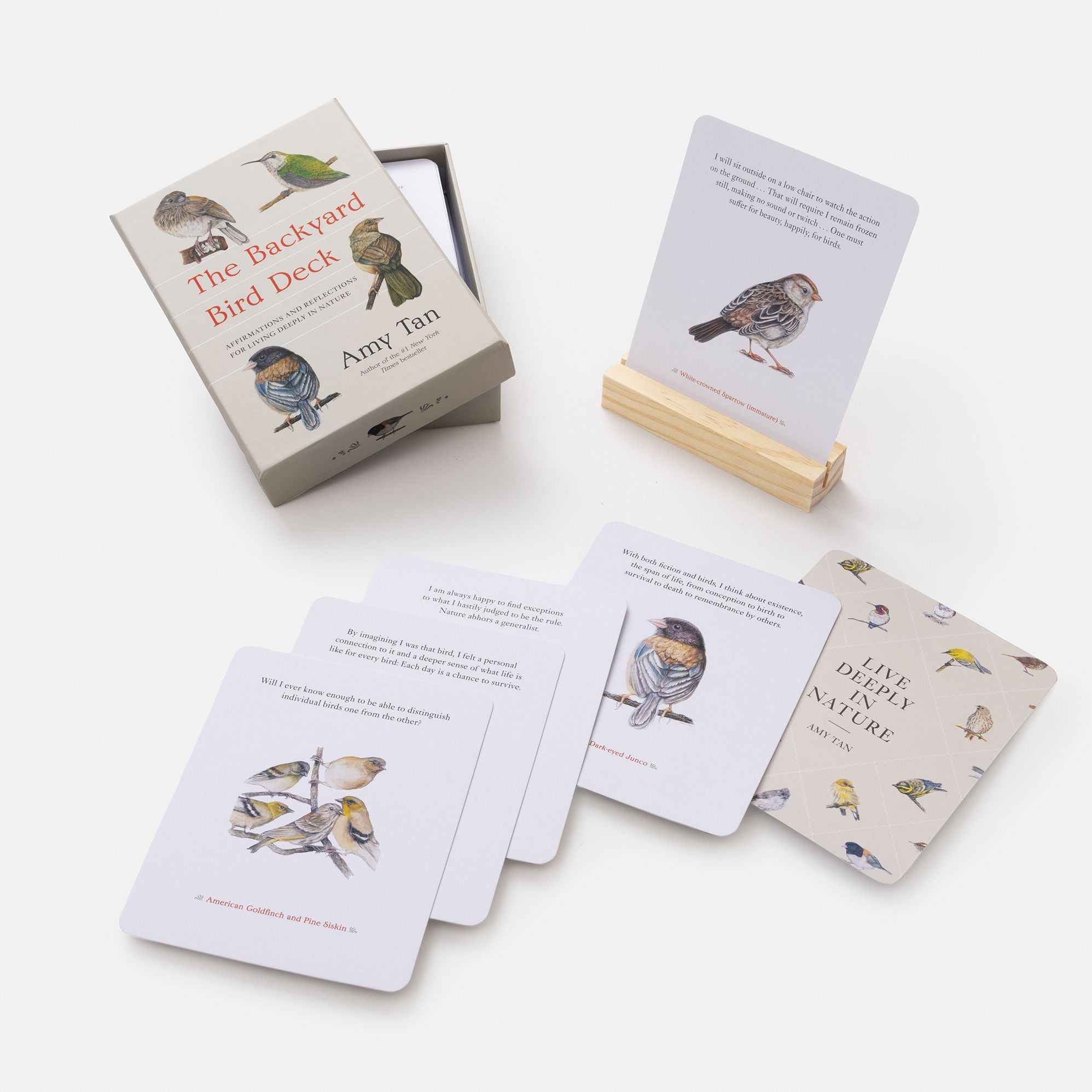The Backyard Bird Deck: Affirmations and Reflections for Living Deeply in Nature: Affirmation Cards