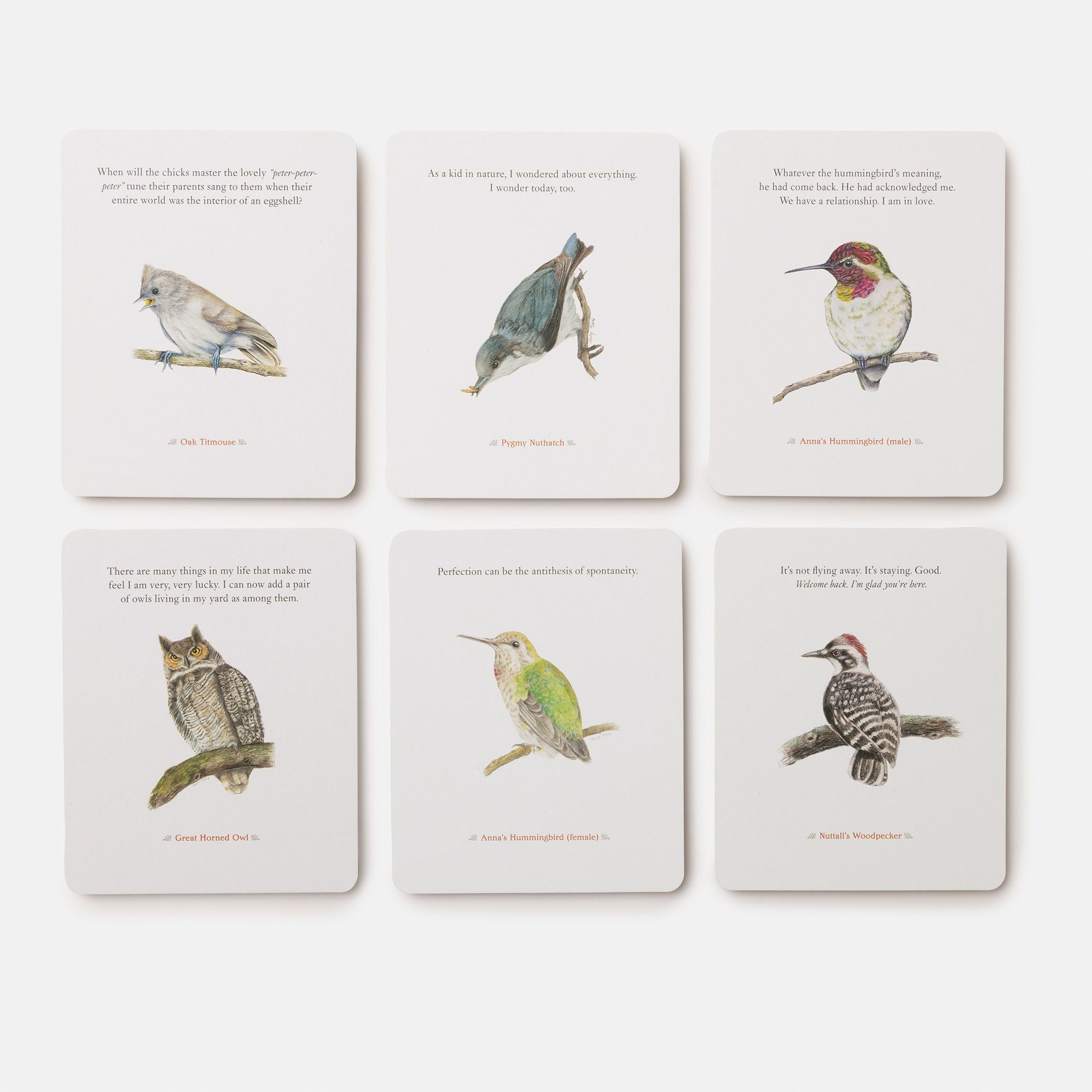 The Backyard Bird Deck: Affirmations and Reflections for Living Deeply in Nature: Affirmation Cards