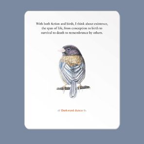 The Backyard Bird Deck: Affirmations and Reflections for Living Deeply in Nature: Affirmation Cards