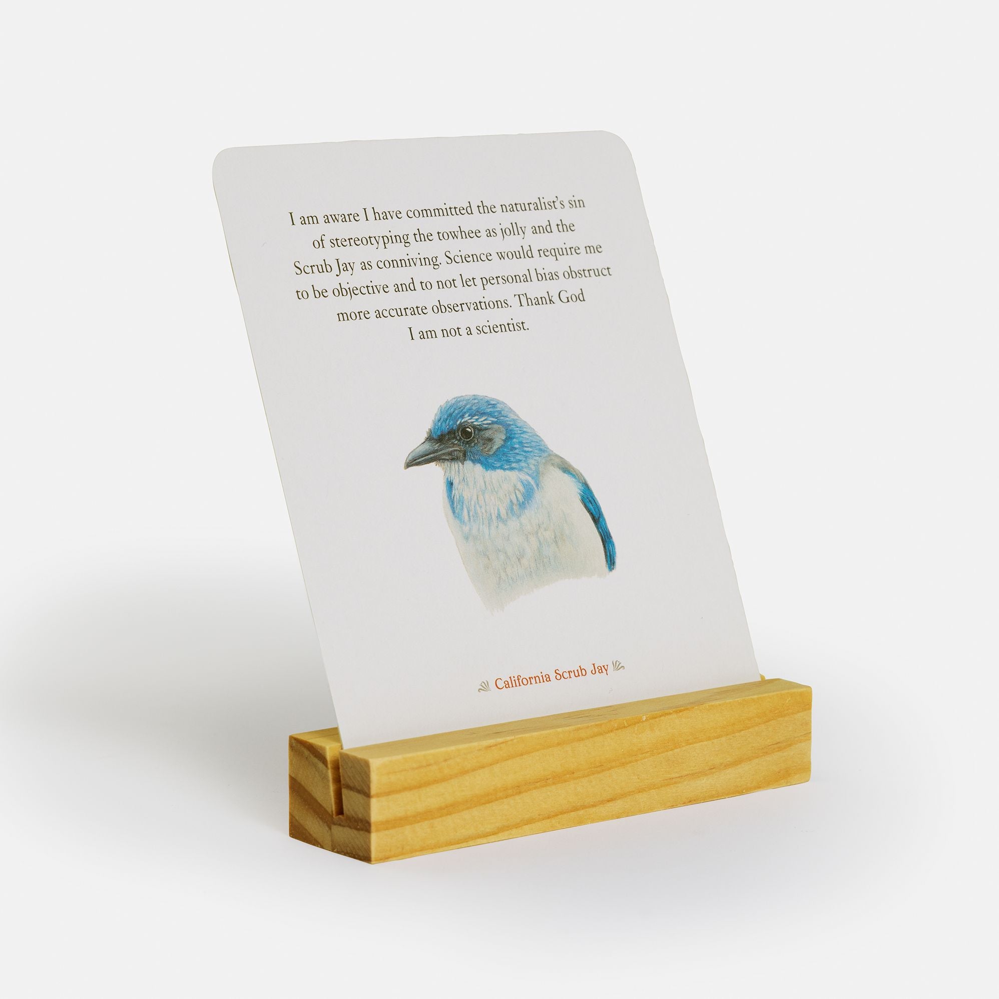 The Backyard Bird Deck: Affirmations and Reflections for Living Deeply in Nature: Affirmation Cards