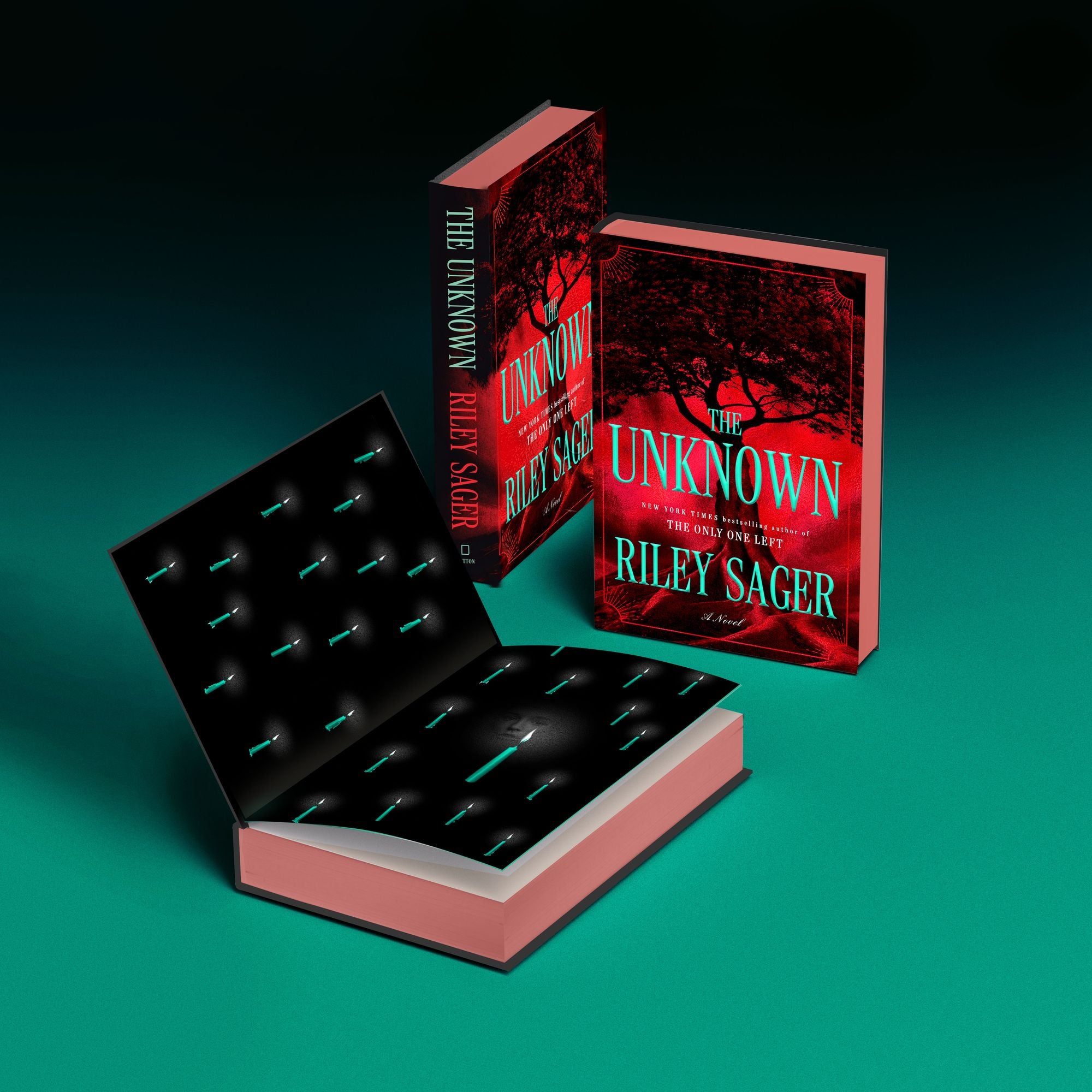 The Unknown: A Novel
