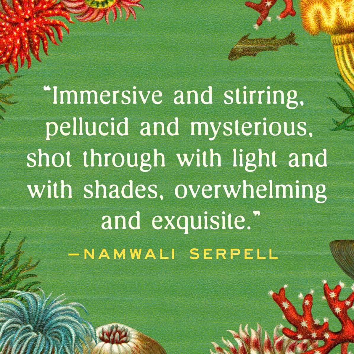 Under Water: A Novel