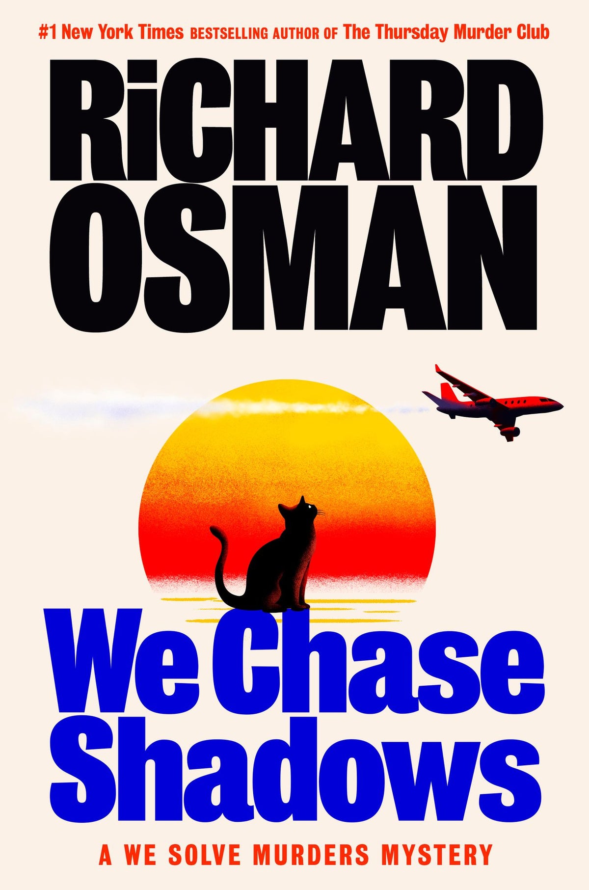 We Chase Shadows: A We Solve Murders Mystery