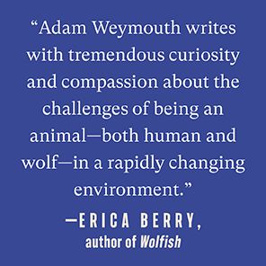 Lone Wolf: Walking the Line Between Civilization and Wildness