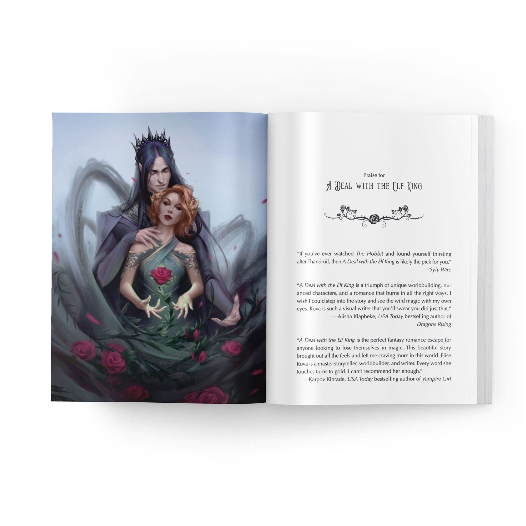 A Deal with the Elf King: A Standalone Fantasy Romance