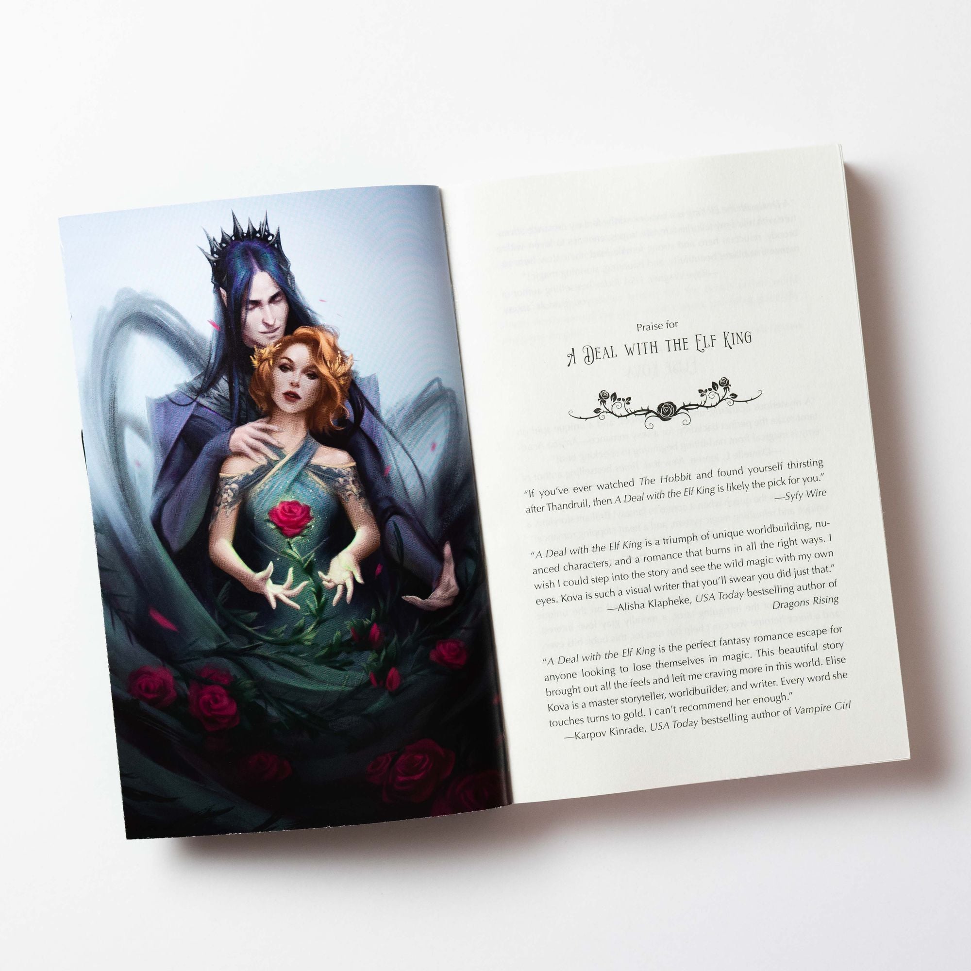 A Deal with the Elf King: A Standalone Fantasy Romance
