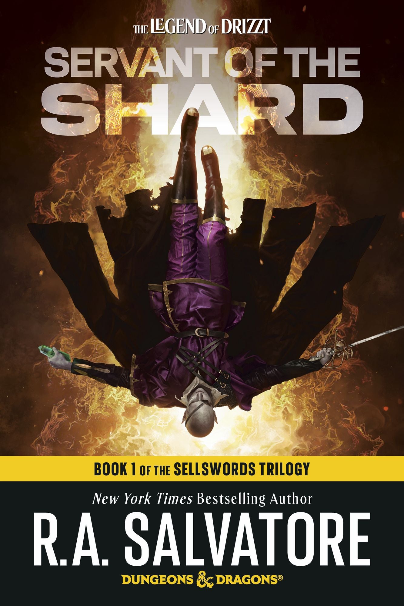 Servant of the Shard: Dungeons & Dragons: Book 1 of The Sellswords Trilogy