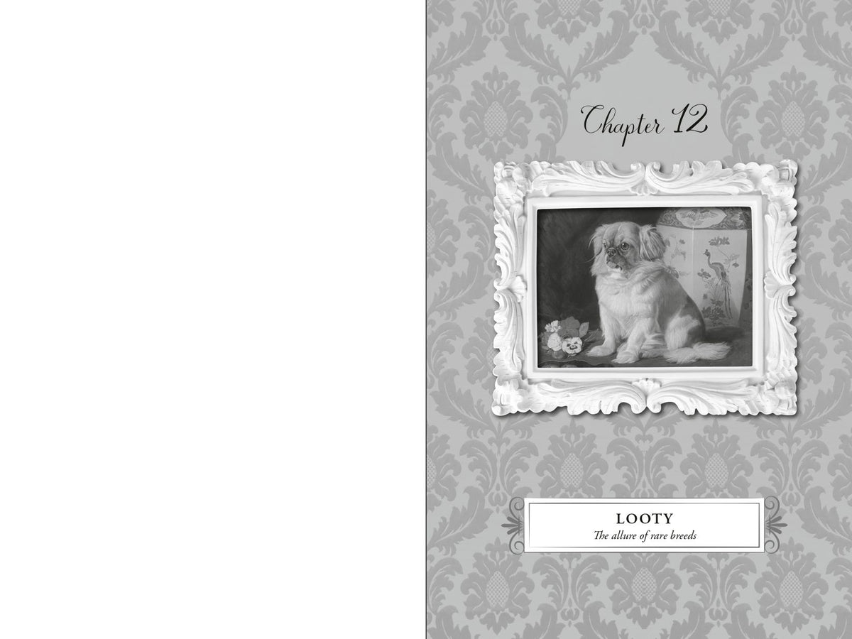 Yap!: A Short History of Small Dogs