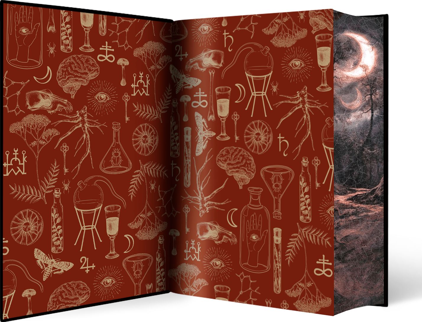 Alchemised (B&N Exclusive Edition)