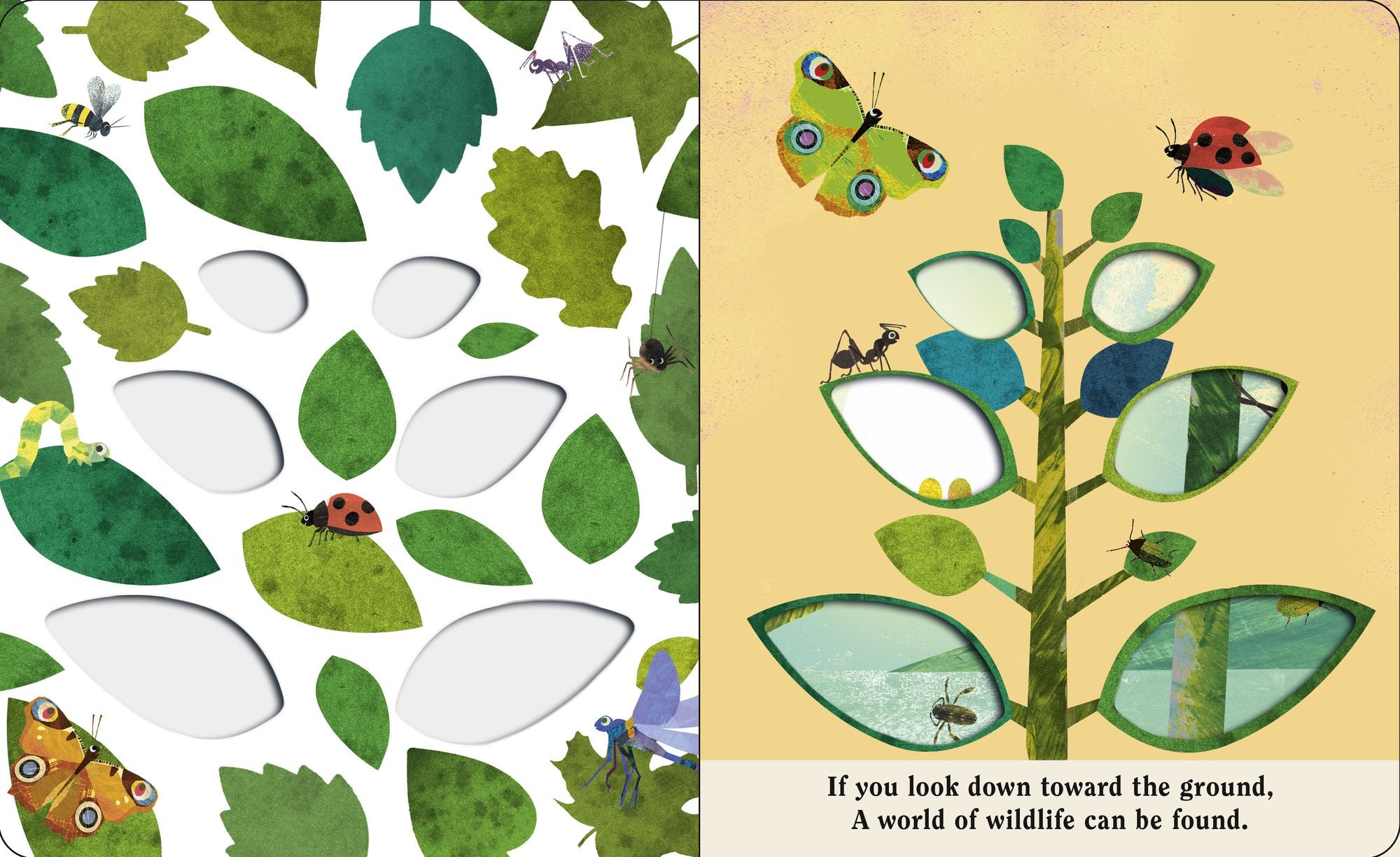 Bugs: A Peek-Through Board Book