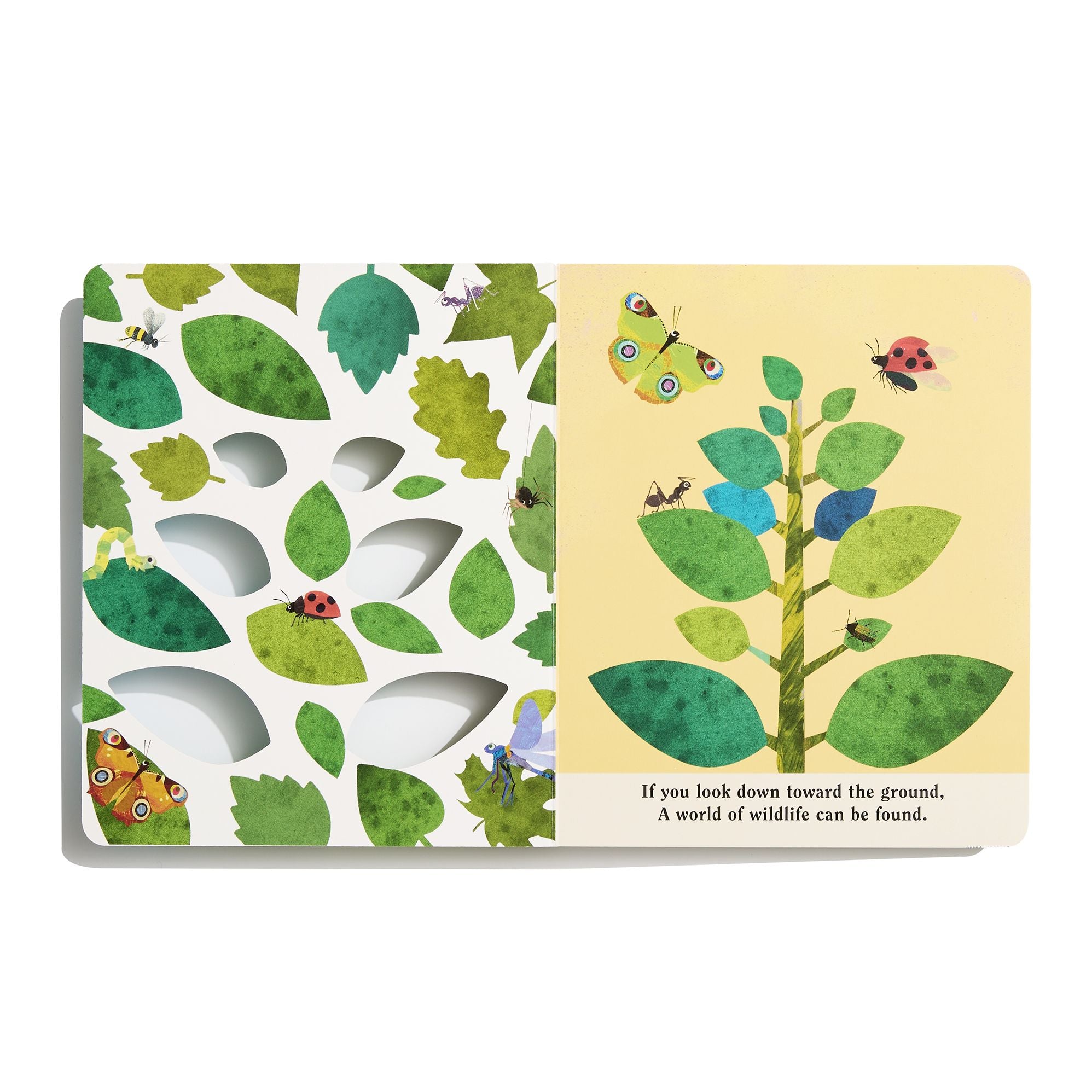Bugs: A Peek-Through Board Book