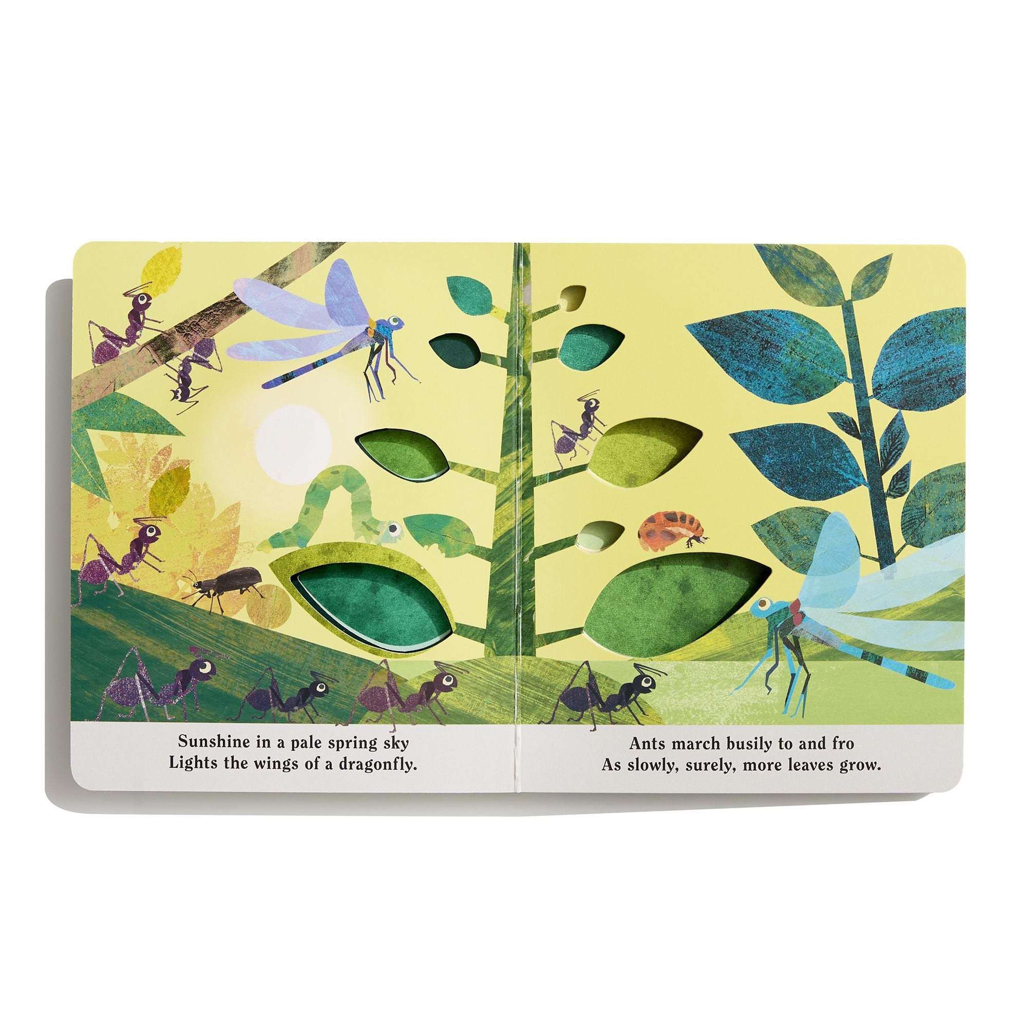 Bugs: A Peek-Through Board Book