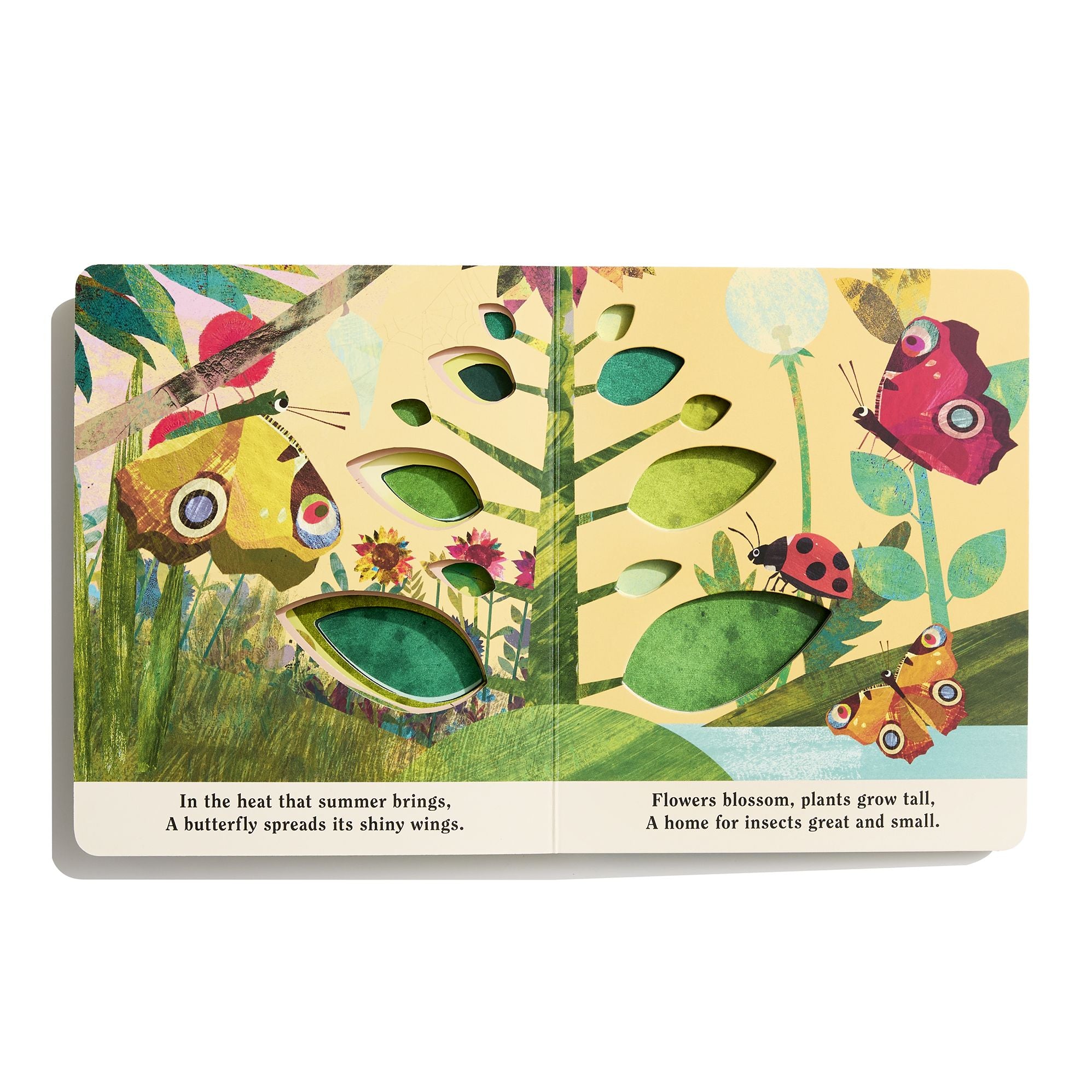 Bugs: A Peek-Through Board Book