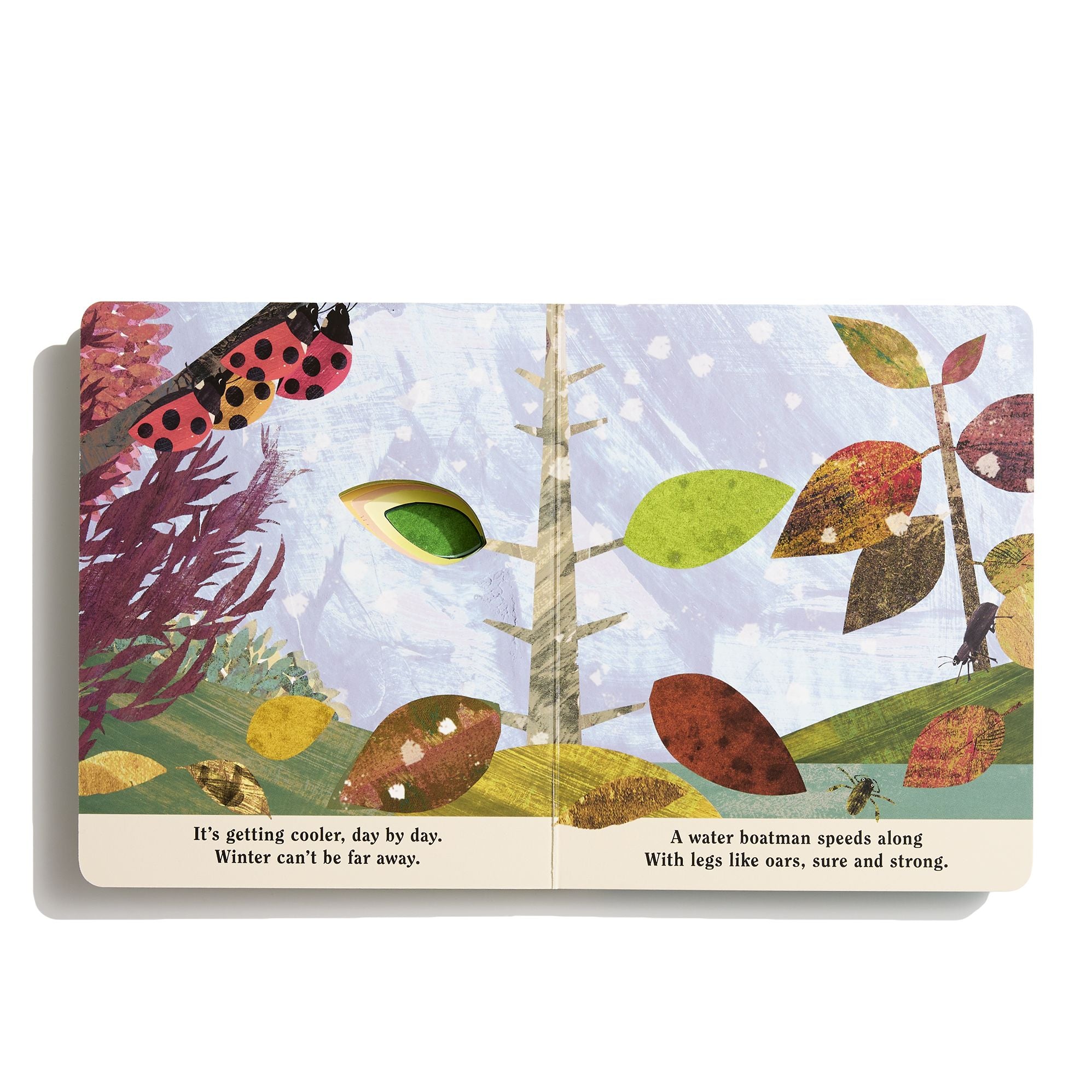 Bugs: A Peek-Through Board Book