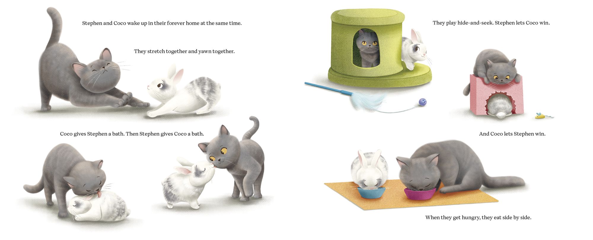 Coco and Stephen, Together Forever: How a Kitten and Bunny Became Best Friends