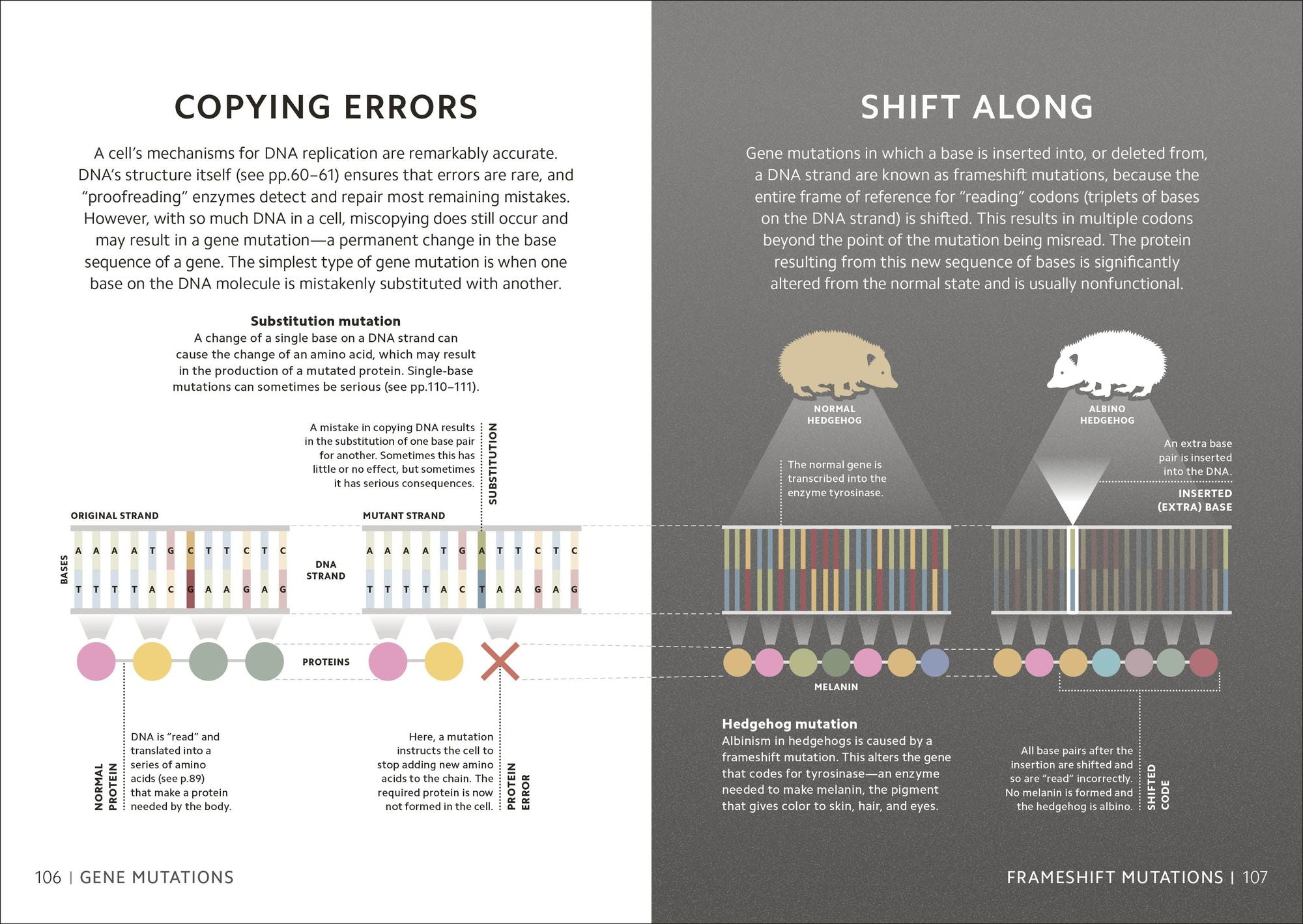 Simply Genetics: Facts Made Fast