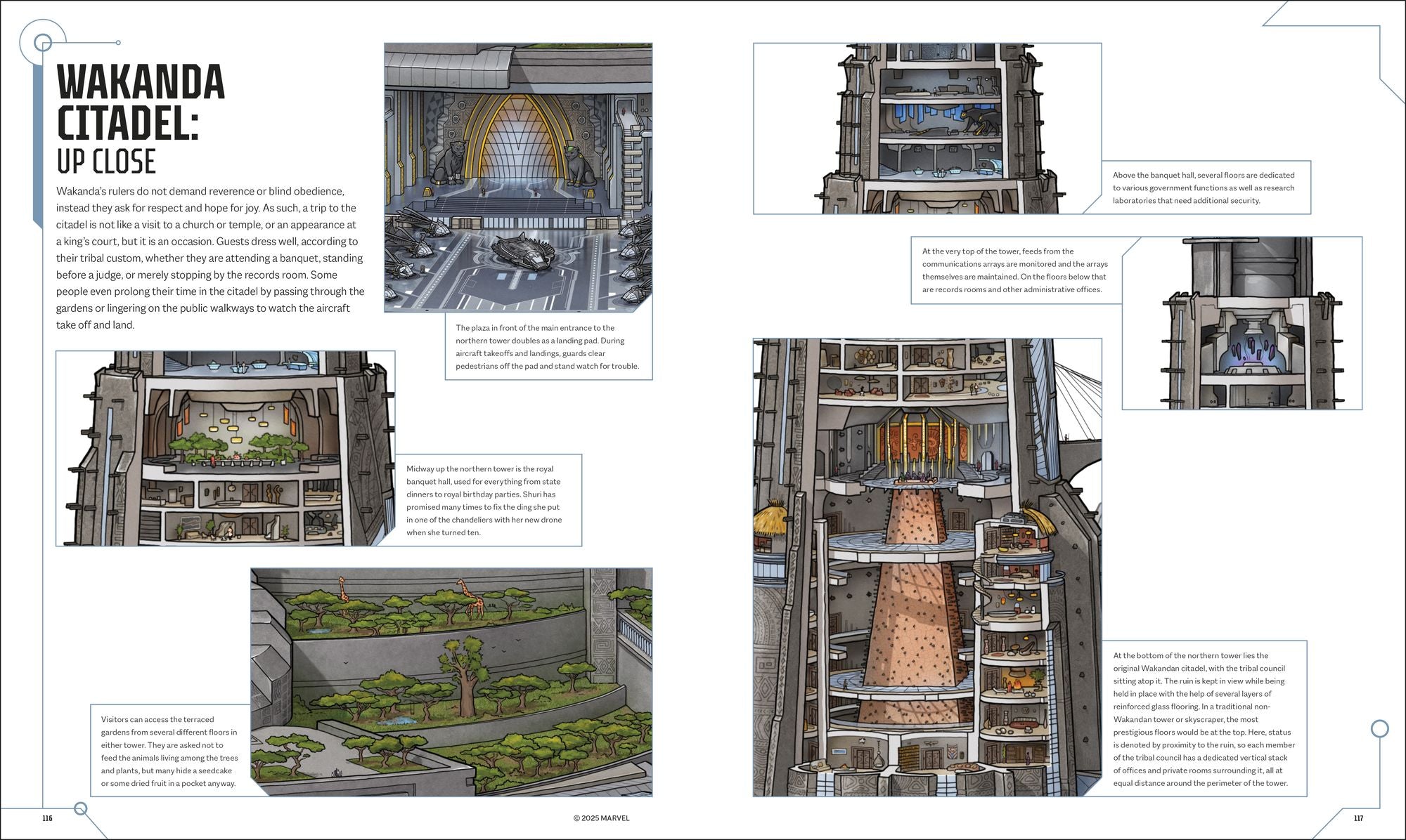 Marvel Studios Cross-Sections