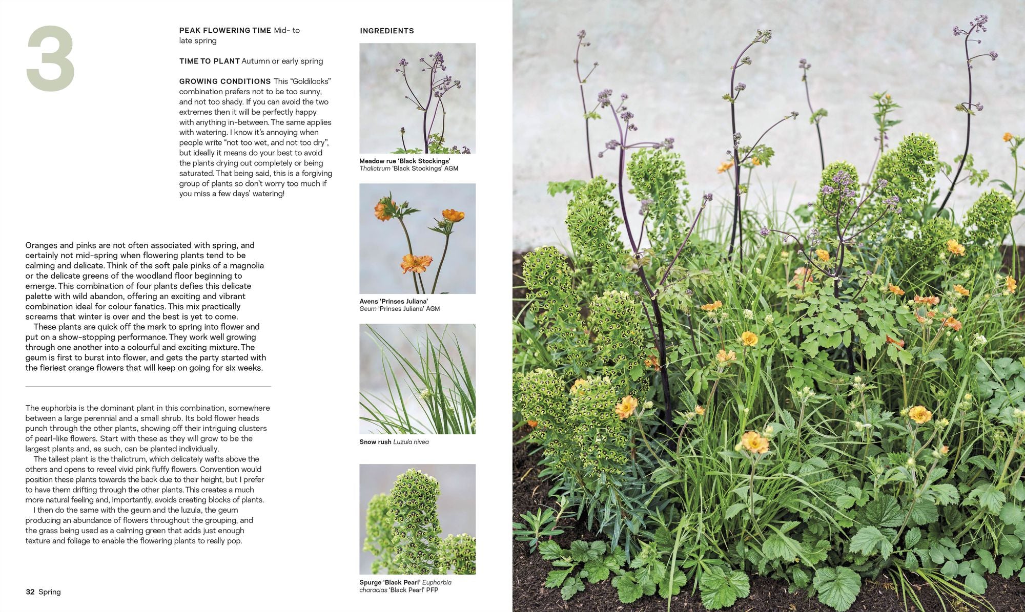 What Grows Together: Fail-Safe Plant Combinations for Every Garden