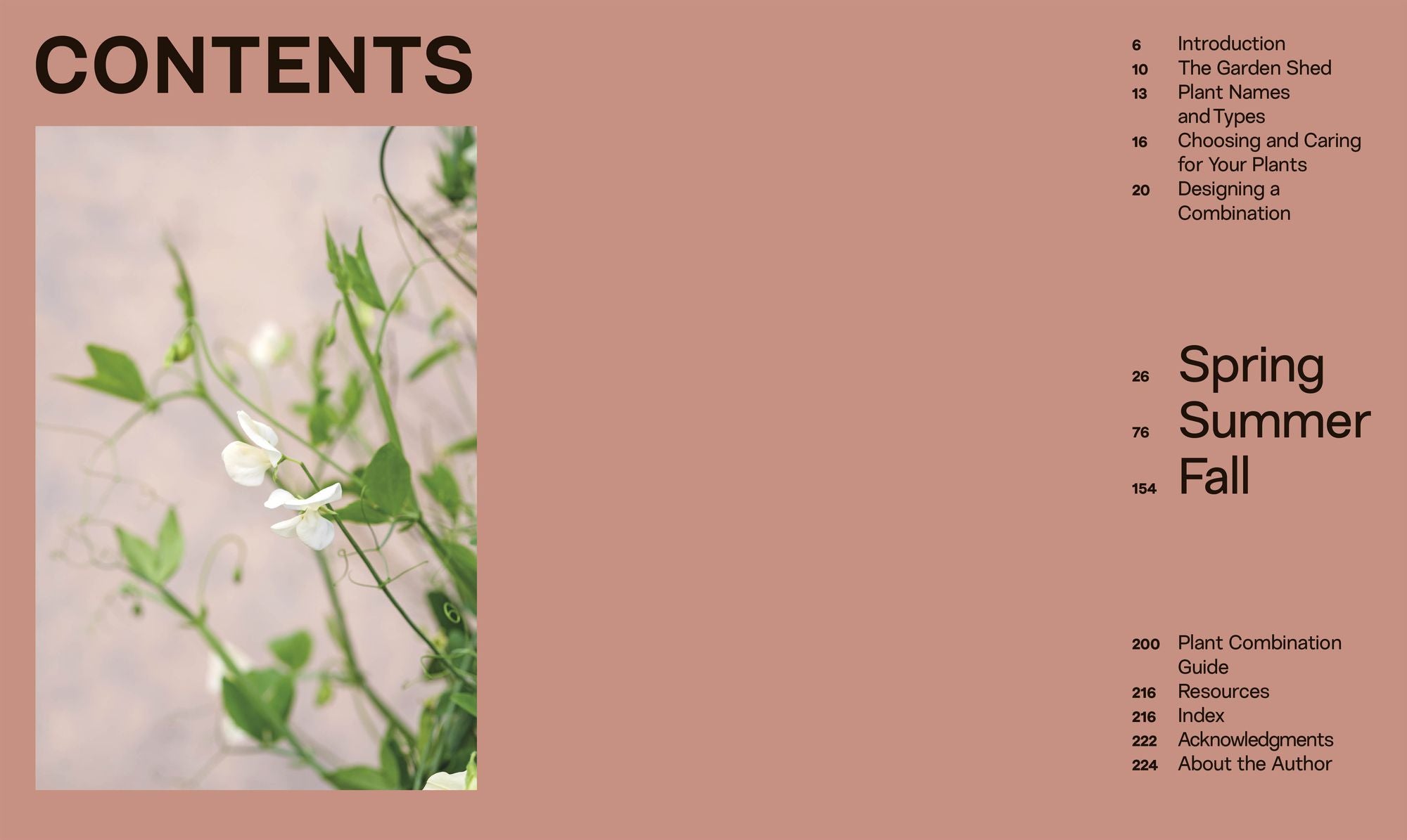 What Grows Together: Fail-Safe Plant Combinations for Every Garden