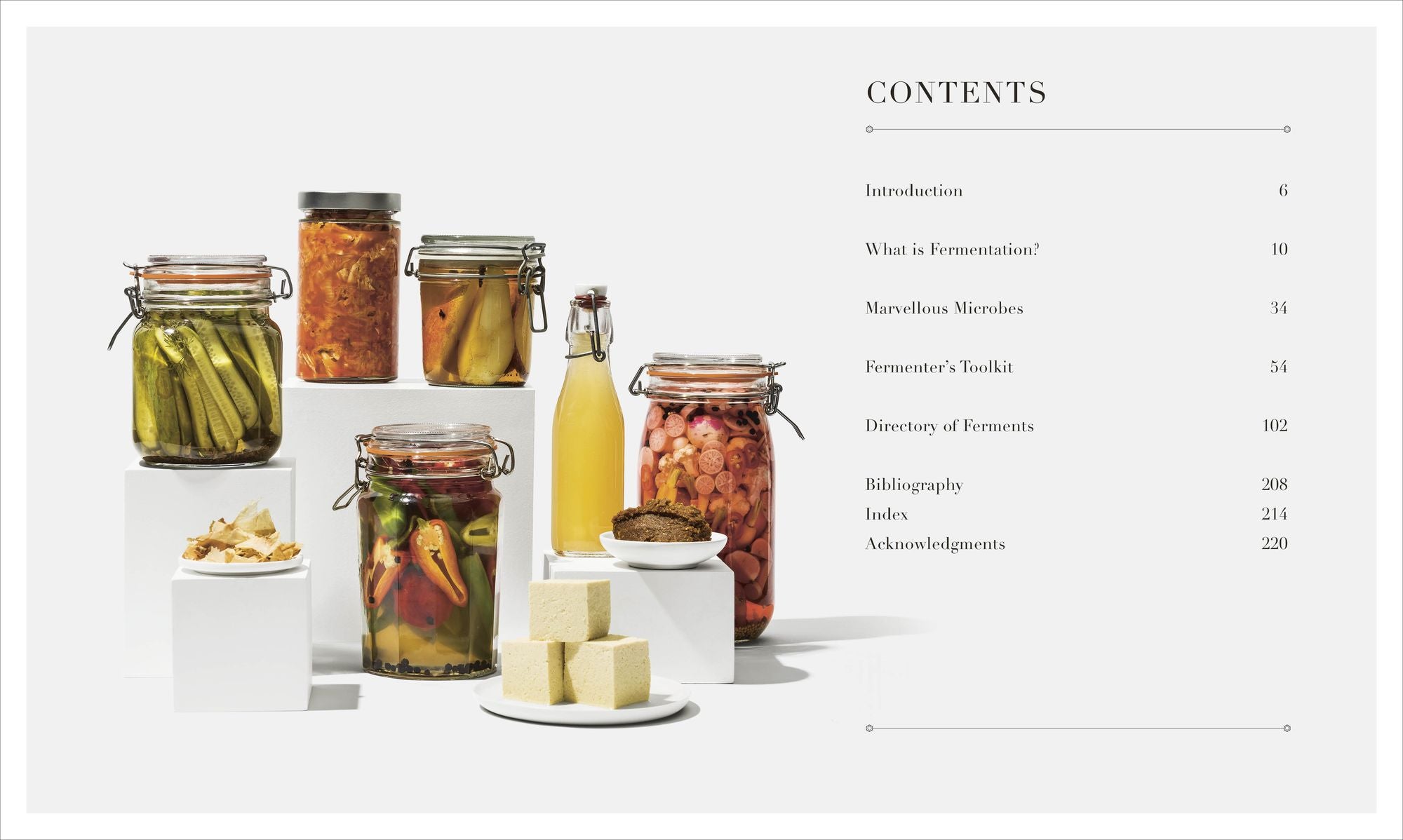 The Science of Fermentation