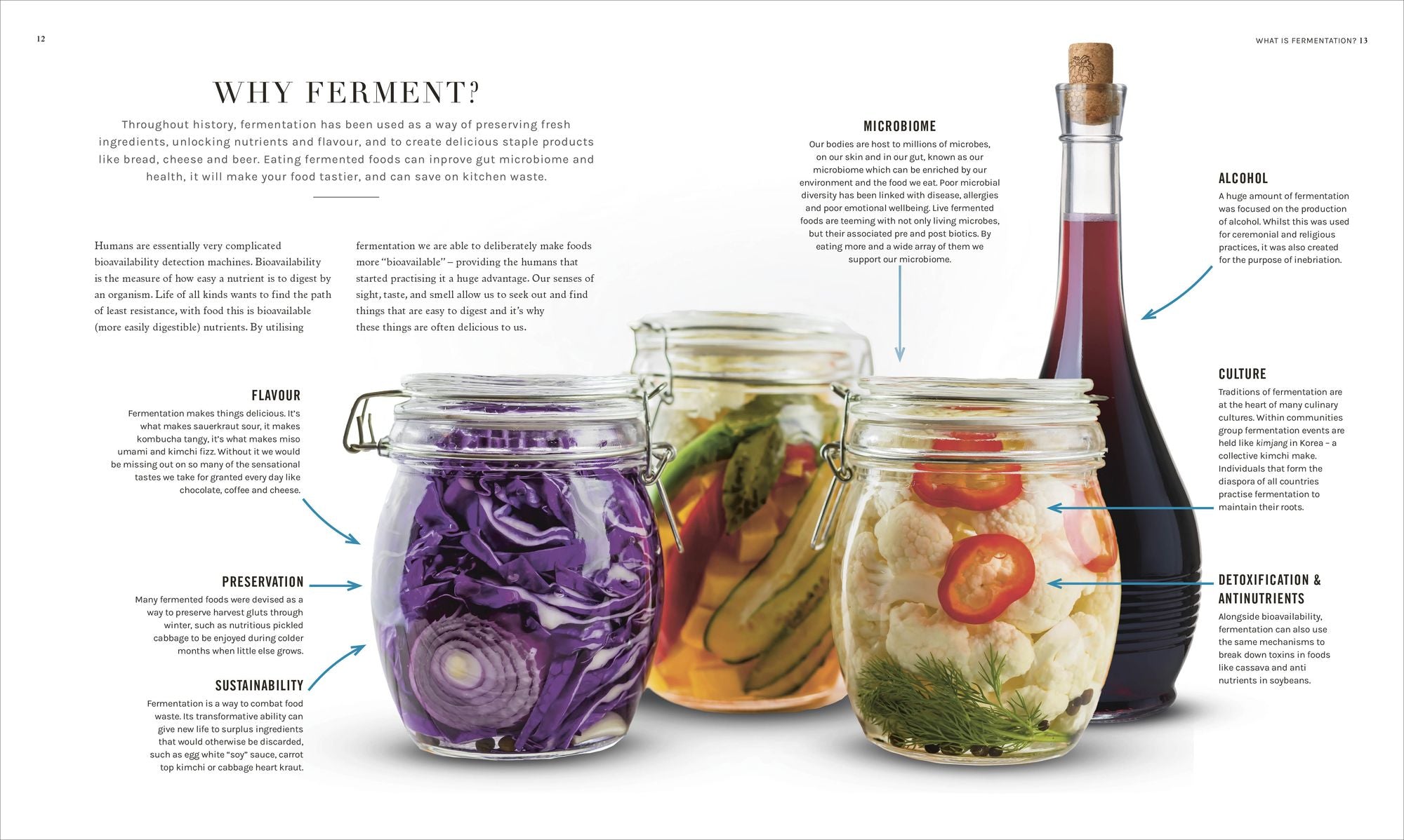 The Science of Fermentation