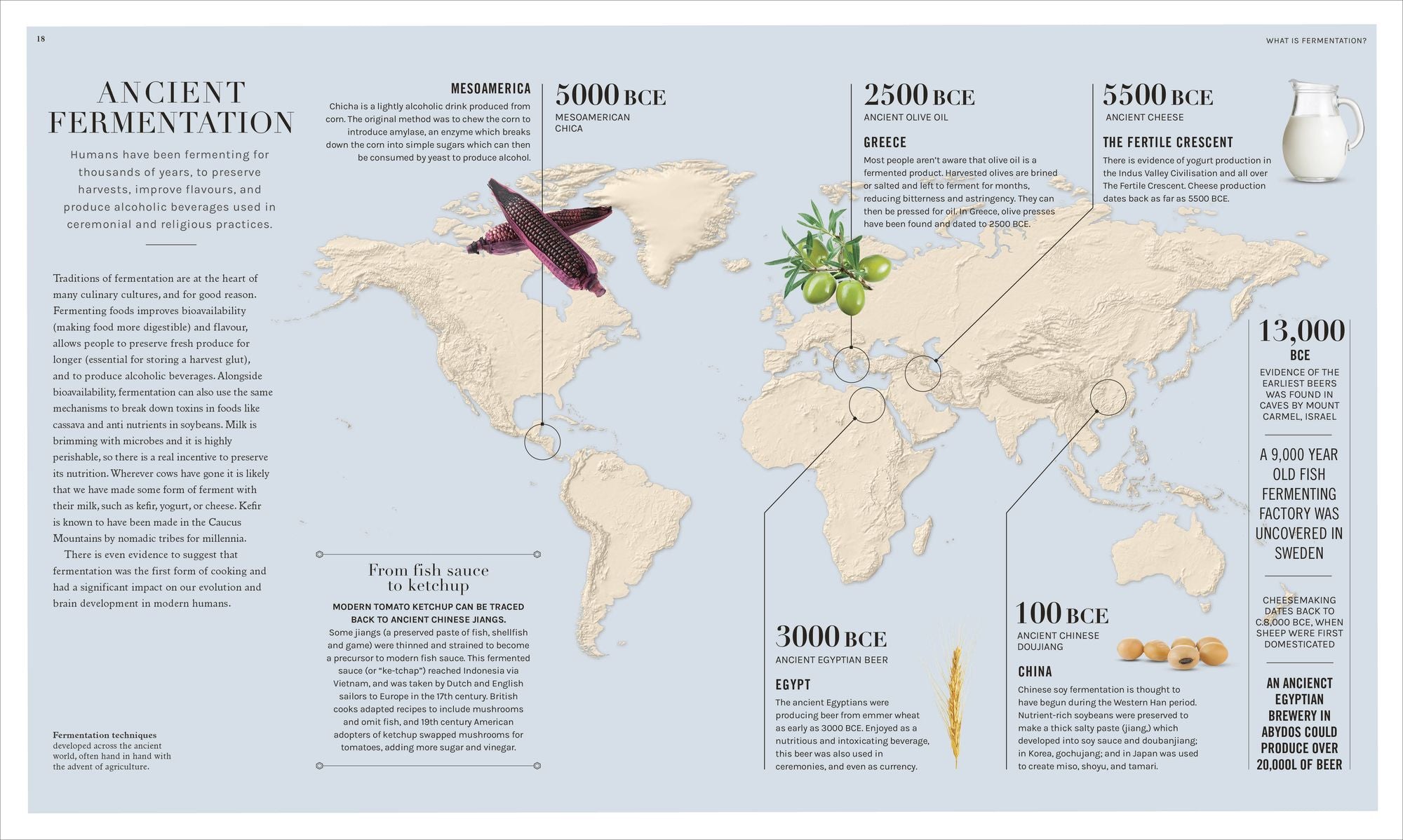 The Science of Fermentation