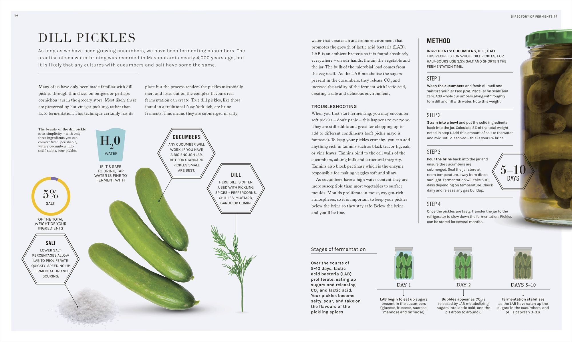 The Science of Fermentation
