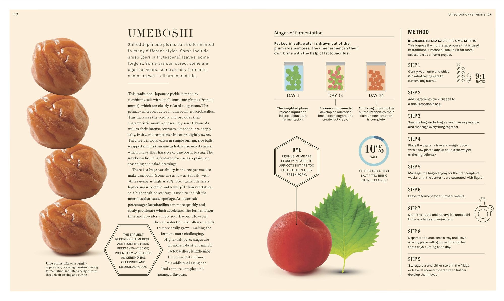 The Science of Fermentation