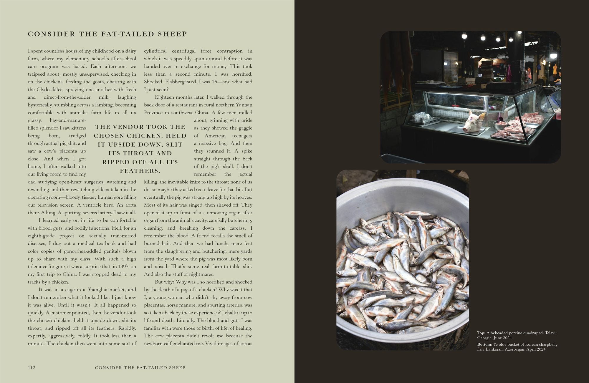 Silk Roads: A Flavor Odyssey with Recipes from Baku to Beijing