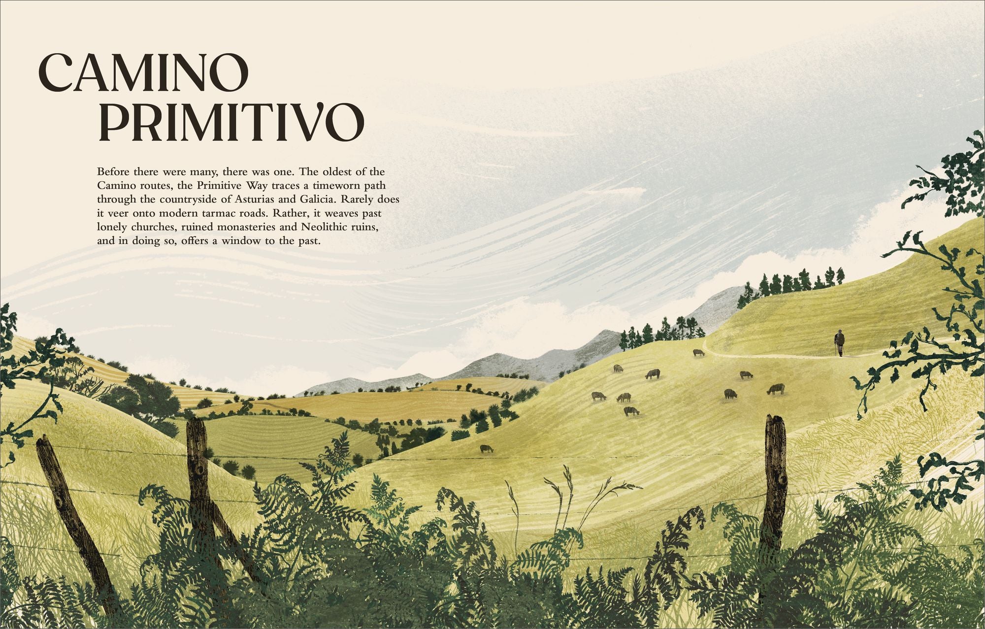 Walking the Camino de Santiago: Find your path on the Way of St James