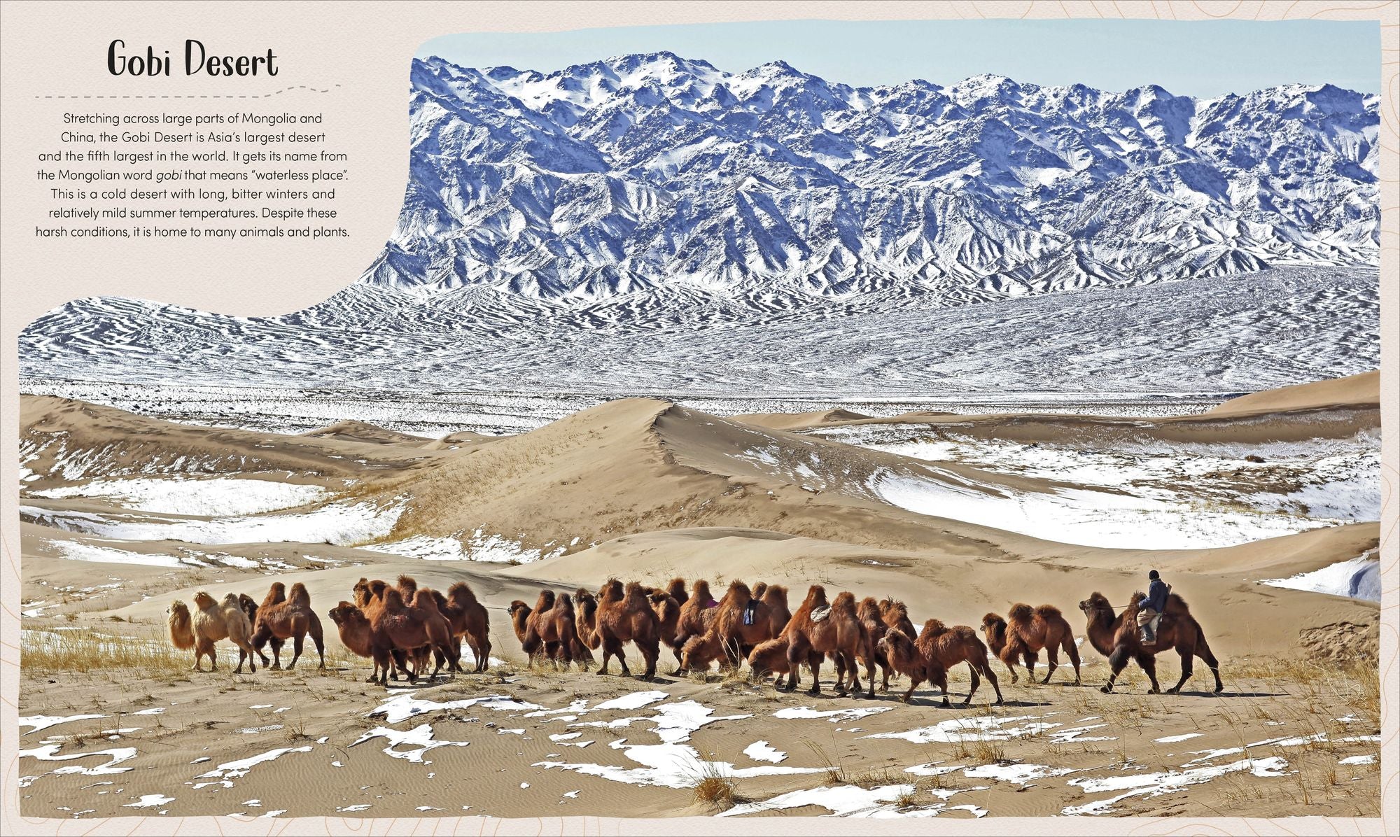 Desert: Journey Through the Hot Sands and Frosty Lands