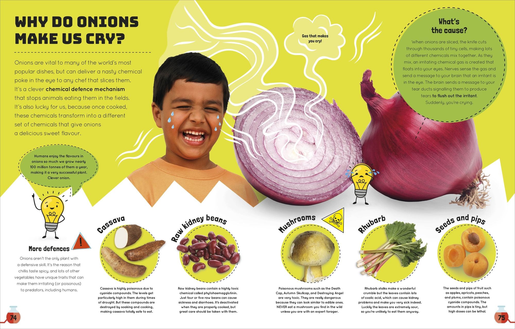 Science You Can Eat: The Astonishing Science Behind Our Food