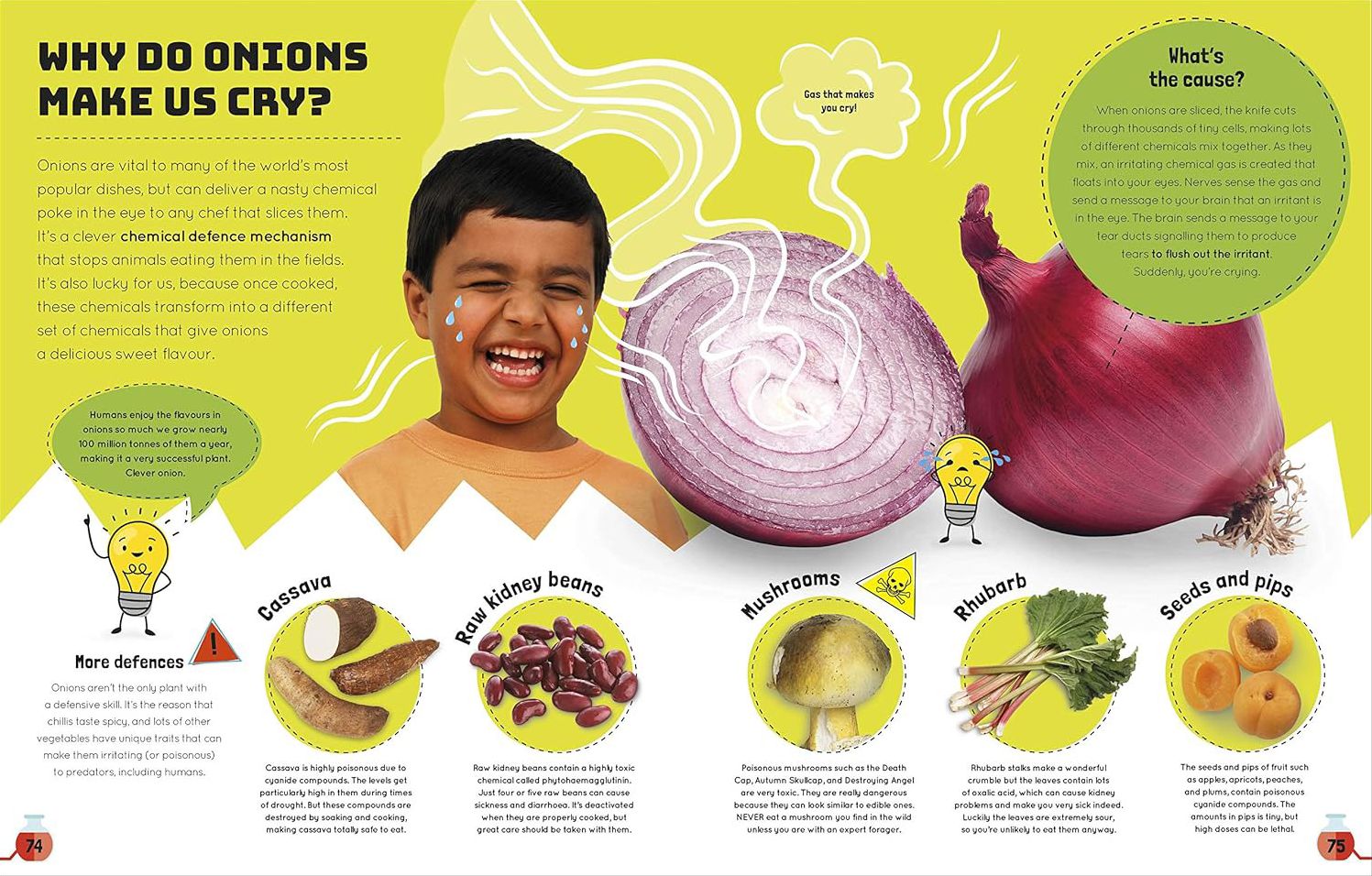 Science You Can Eat: The Astonishing Science Behind Our Food