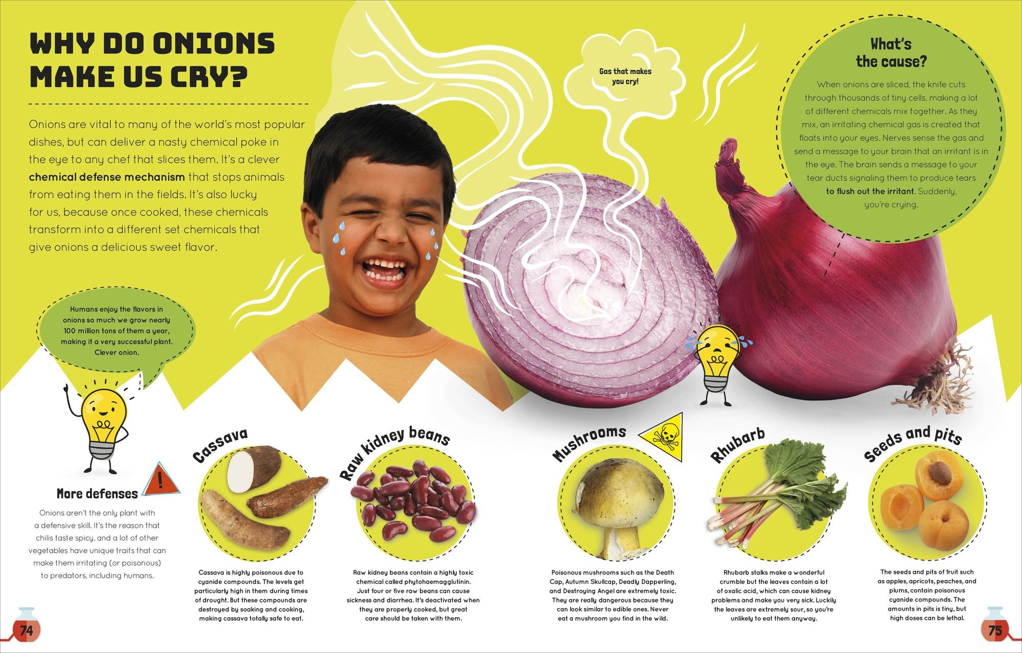Science You Can Eat: The Astonishing Science Behind Our Food