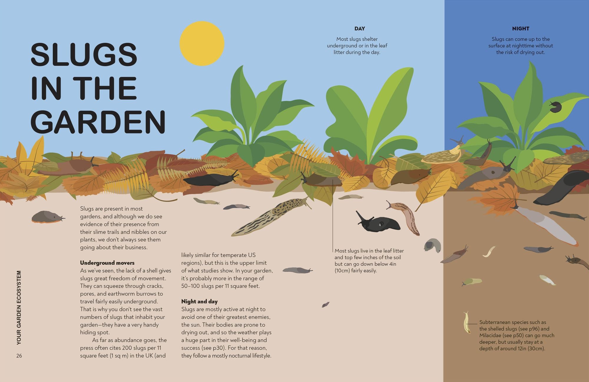Slugs: Friend or Foe?: Know Your Slugs and Learn to Live with Them