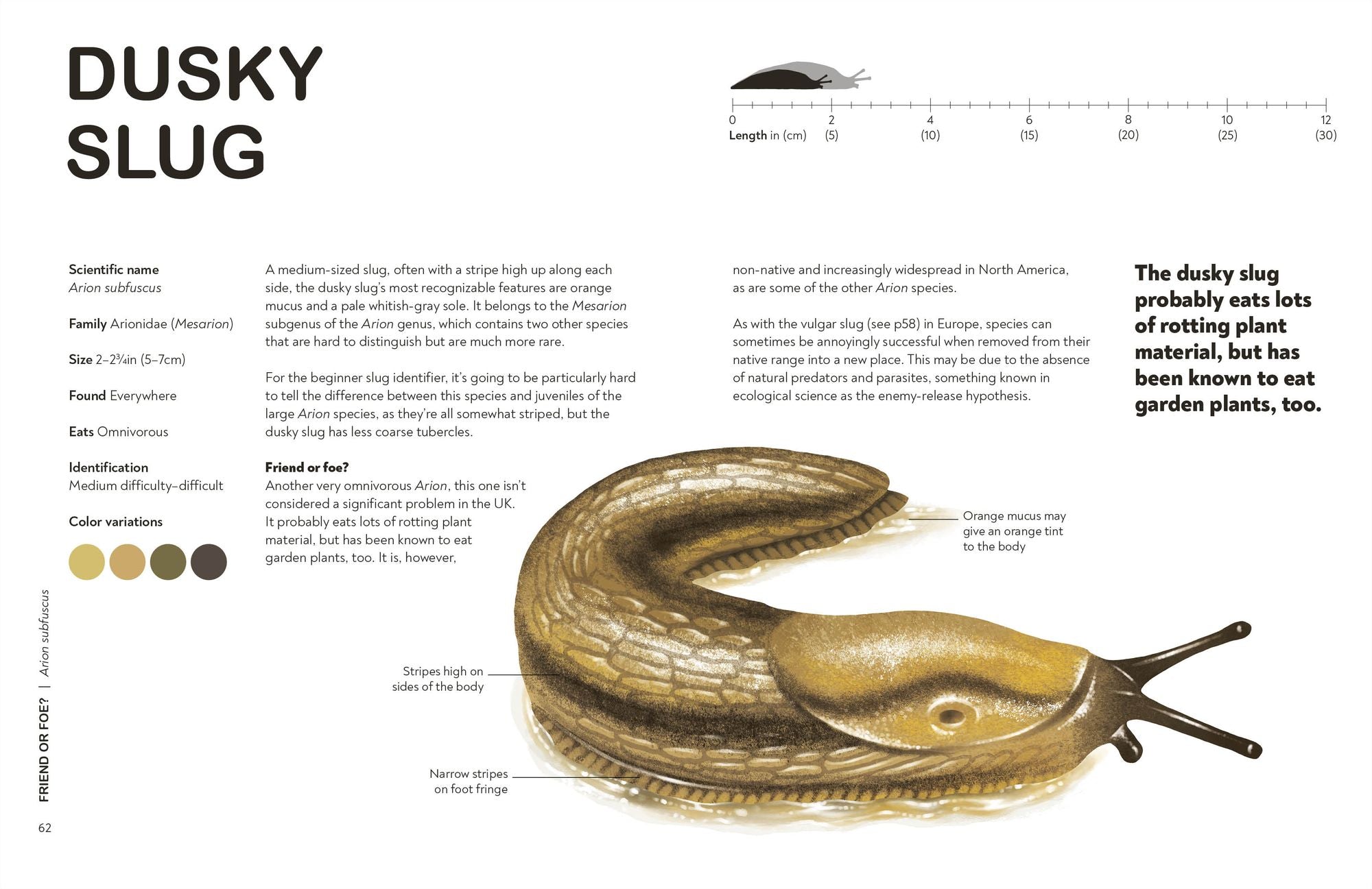 Slugs: Friend or Foe?: Know Your Slugs and Learn to Live with Them