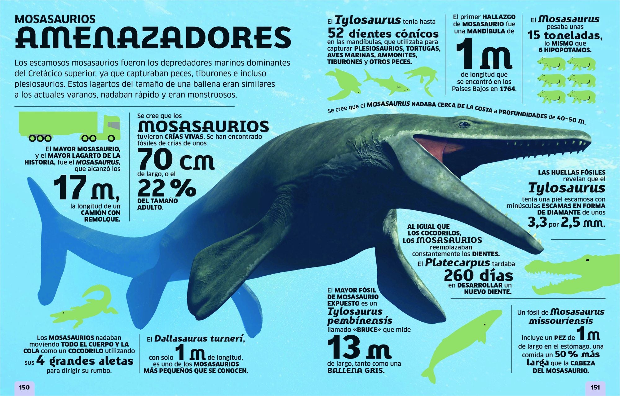El mundo en números: Dinosaurios (Our World in Numbers Dinosaurs)